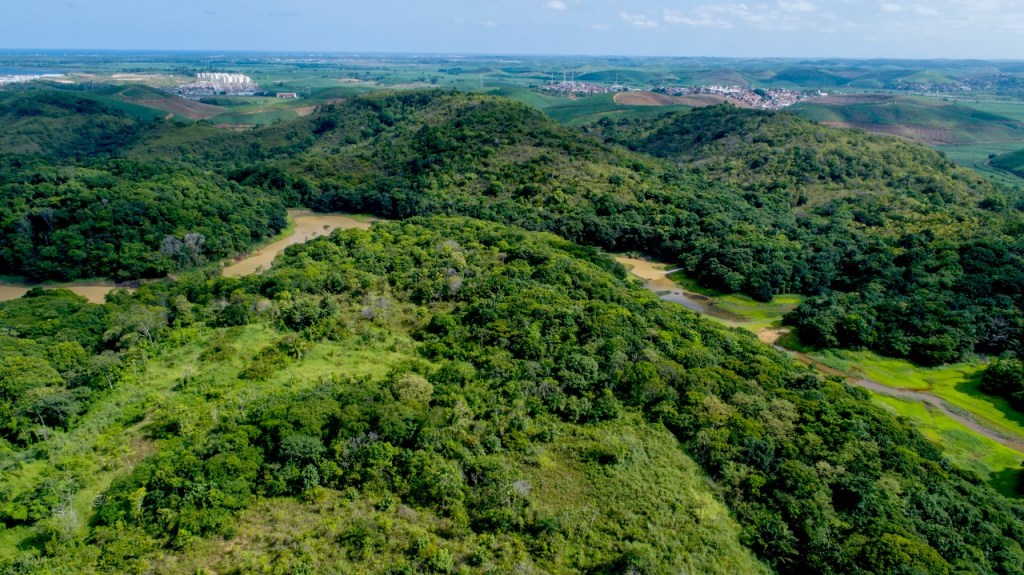 Suape lança Projeto Carbono Neutro para combater efeito&nbsp;estufa
